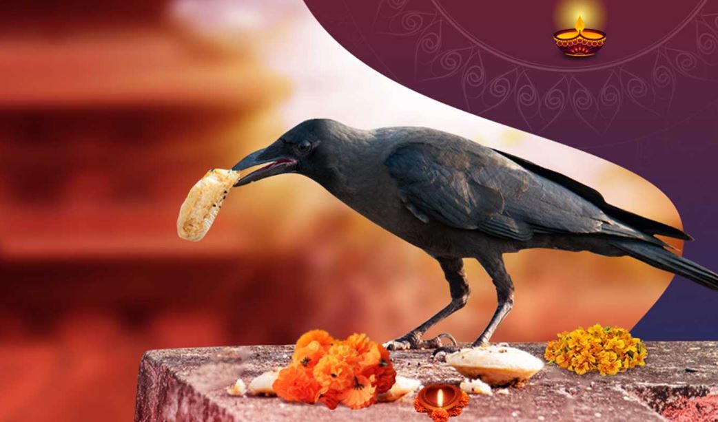 आजबाट तिहार सुरू, आज काग तिहार पर्व मनाइँदै